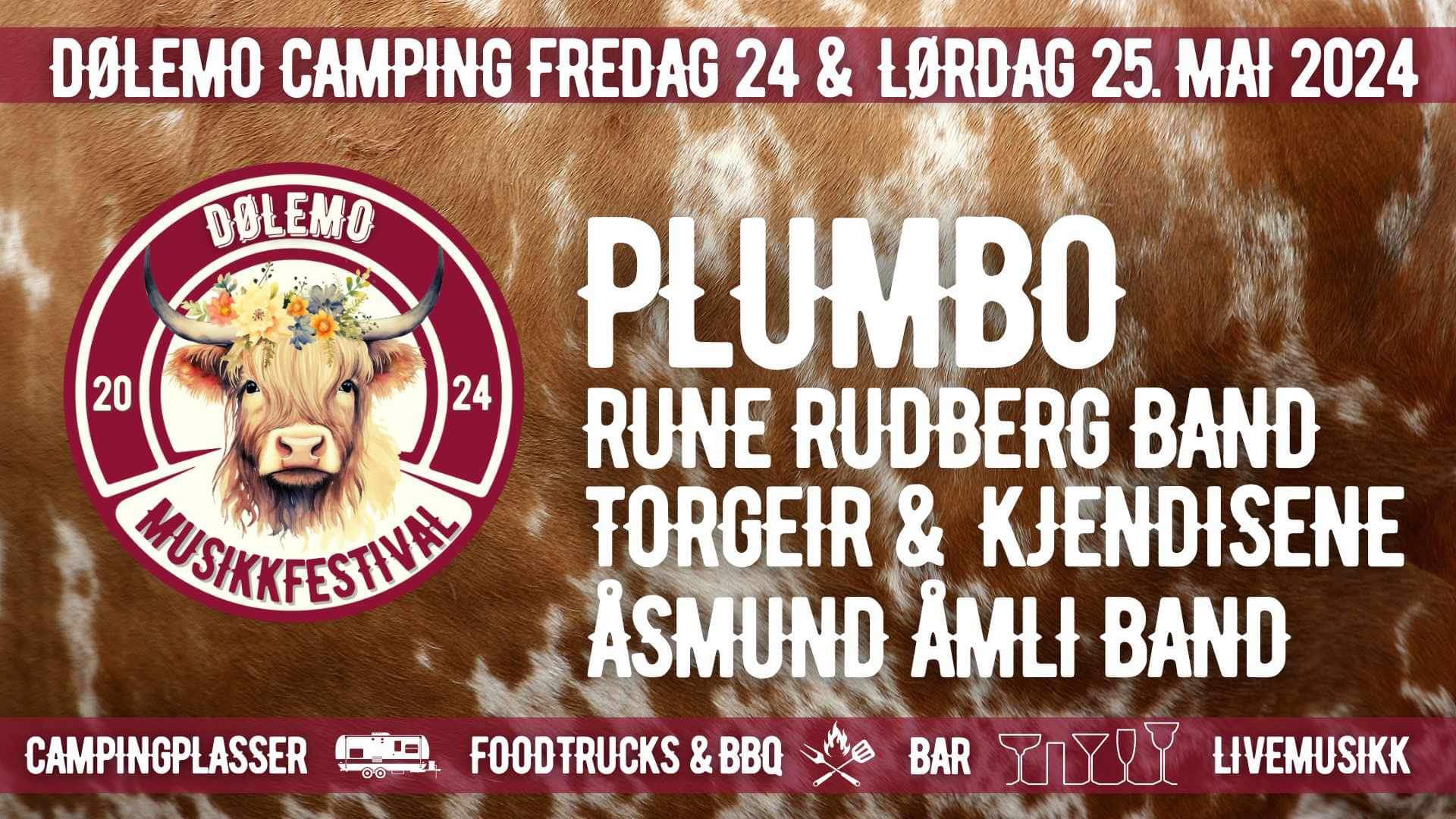 Dølemo musikkfestival 2024, 24 og 25 mai